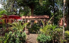 Okavango Lodge